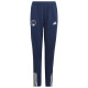 Adidas Παιδικό παντελόνι φόρμας Performance FCGB TR Pants